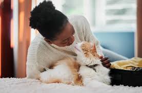 7 Proven Ways For New Cat Owners to Bond With Their Cat